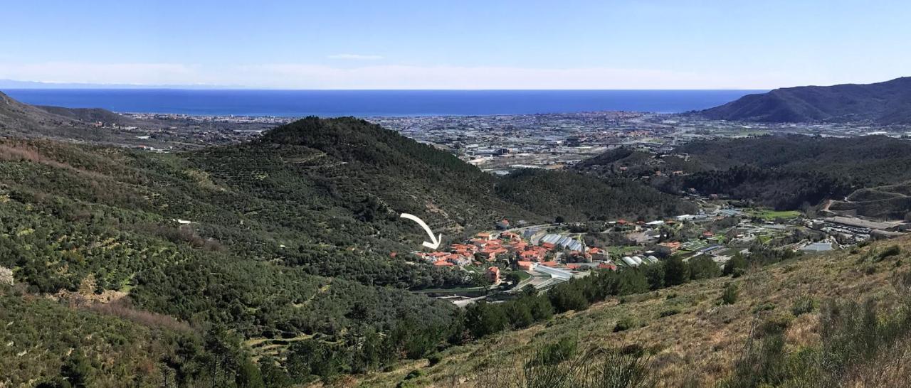 Villa Gli Angeli Agriturismo à Cisano sul Neva Extérieur photo